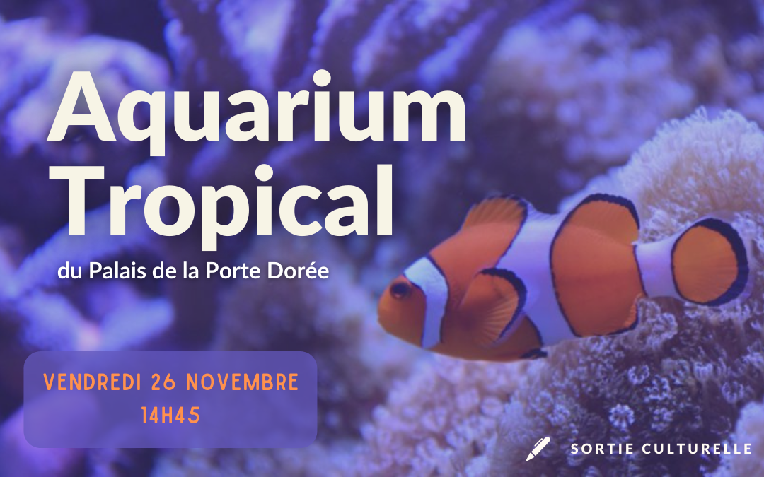 Visite à l’aquarium tropical 26 novembre